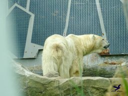 Tiergarten Schönbrunn am 15.05.2025